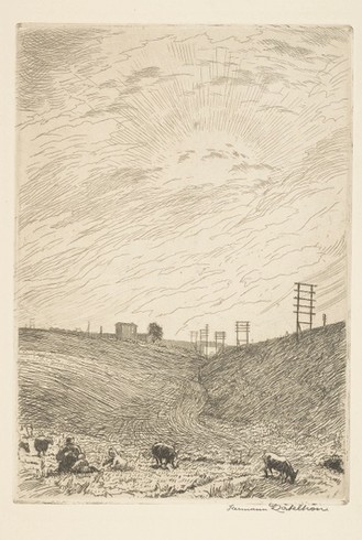 Radierung. Eine Landschaft mit Kühen.