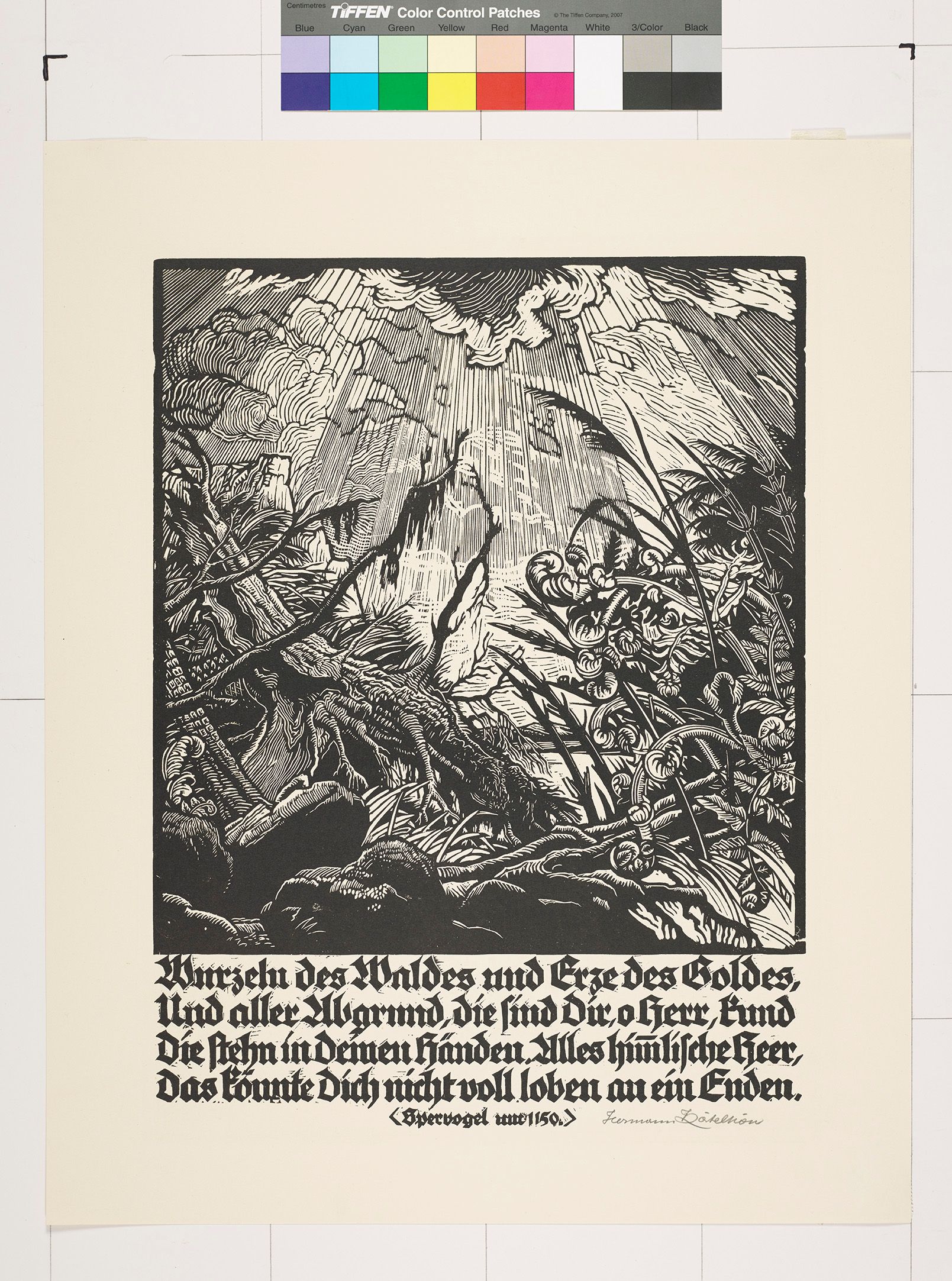 Titelblatt. Gebüsch und Himmel mit Sonnenstrahlen (SchwaText rz-Weiß). ). Text.