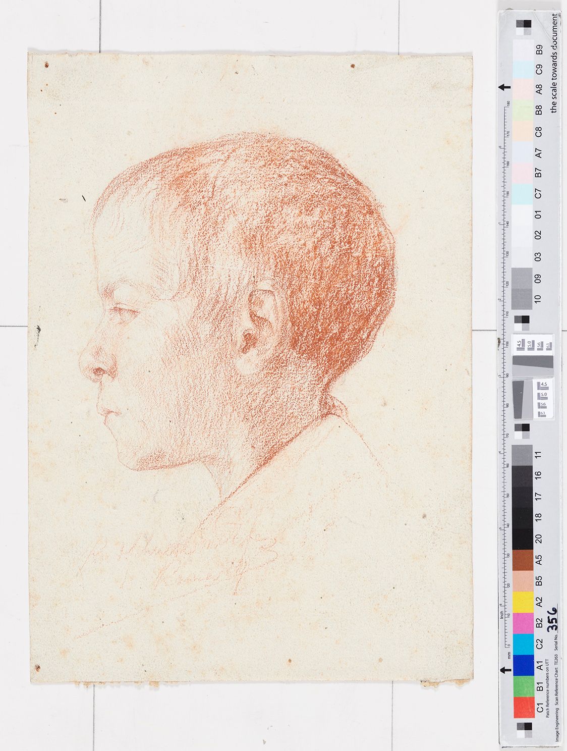 Rötelzeichnung. Kopf eines kleinen jungen im Profil nach links. 