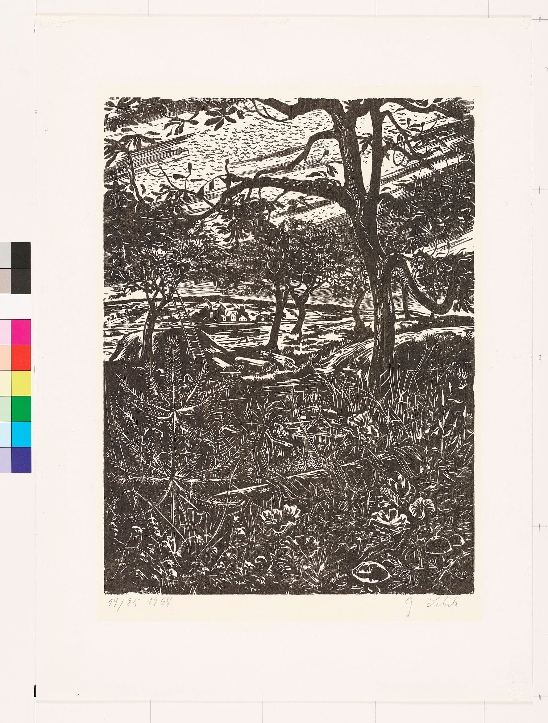 Blick auf eine Wild wuchernde Wiese mit Blumen, Pilzen, überwuchertem Baumstamm und einem Spinnennetz über landwirtschaftliches Gerät und Obstbäume mit einer Leiter auf ein kleines Dorf mit Windmühle im Hintergrund.