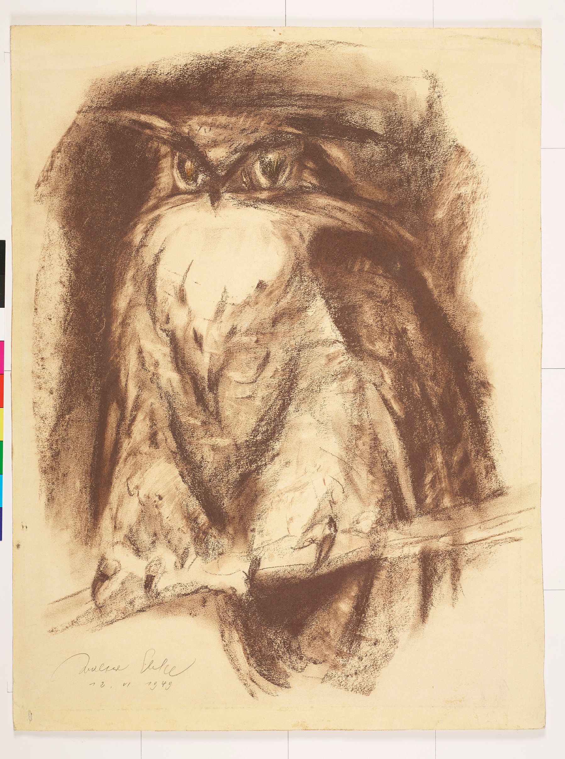 Zeichnung einer Eule.