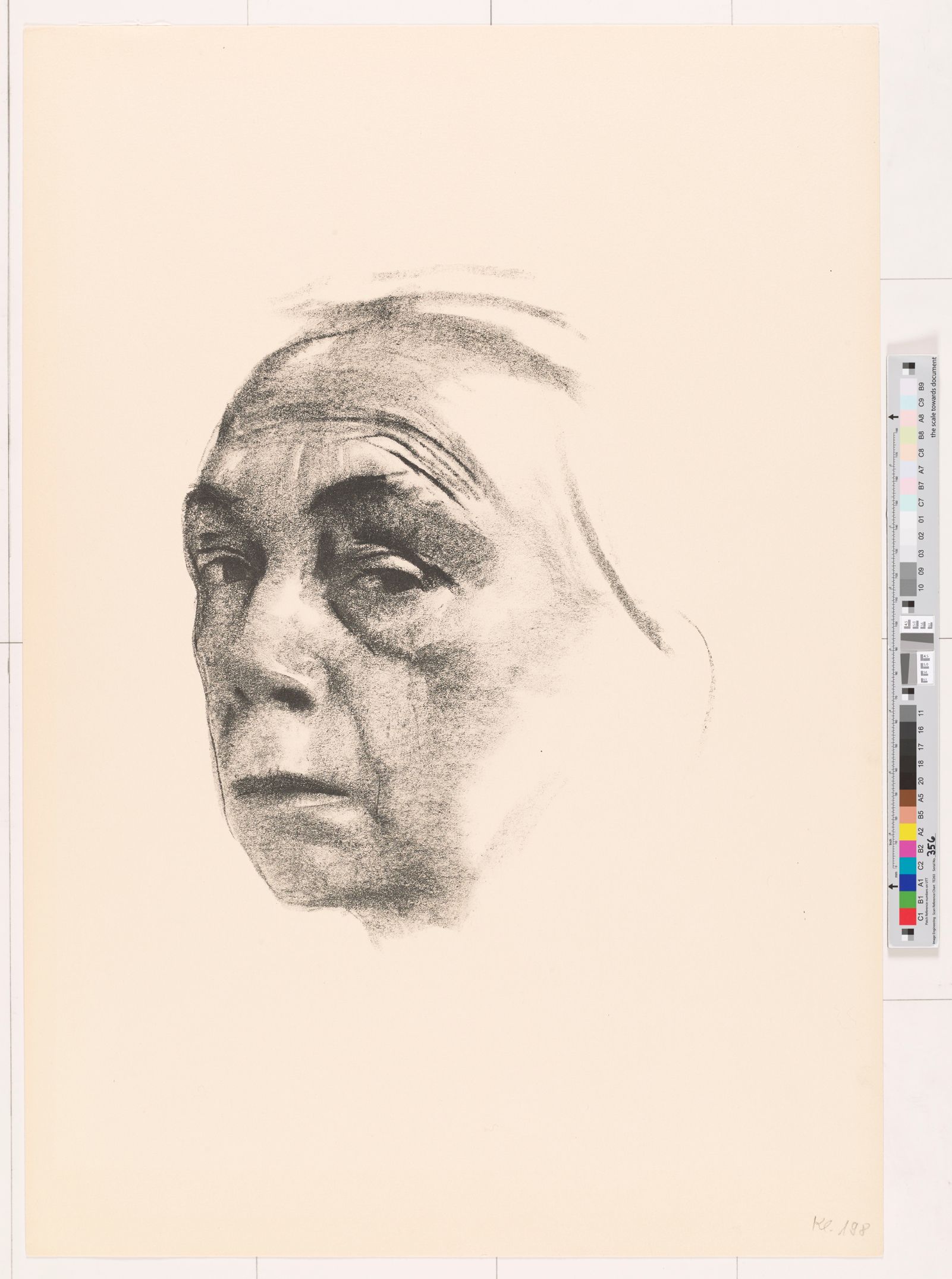 Käthe Kollwitz im Selbstportrait, nach links gewendet, nach vorne blickend.