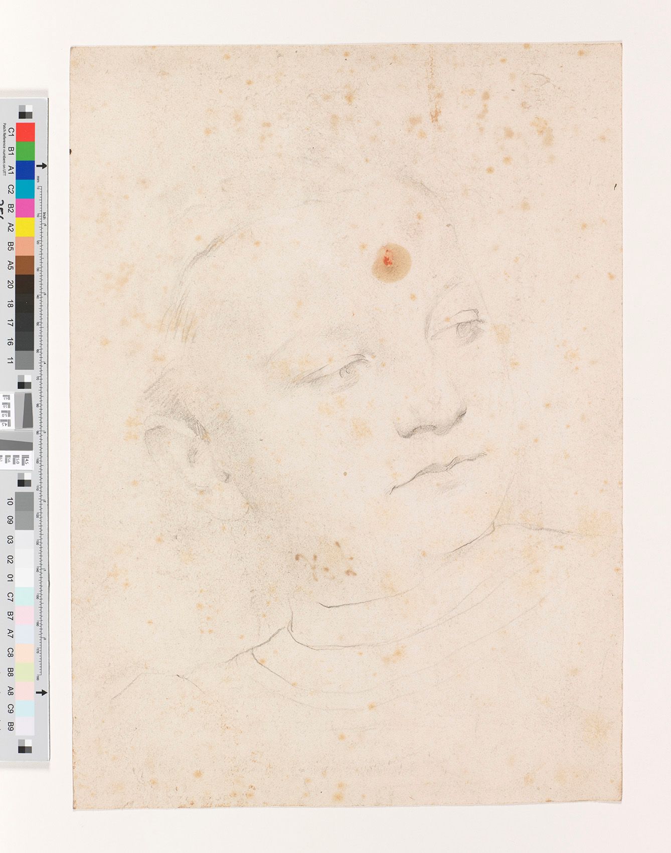 Portrait Zeichnung einer jungen Frau. Die Frau hat ihren Kopf leicht nach rechts gedreht und ihr Blick ist ebenfalls nach rechts gerichtet.