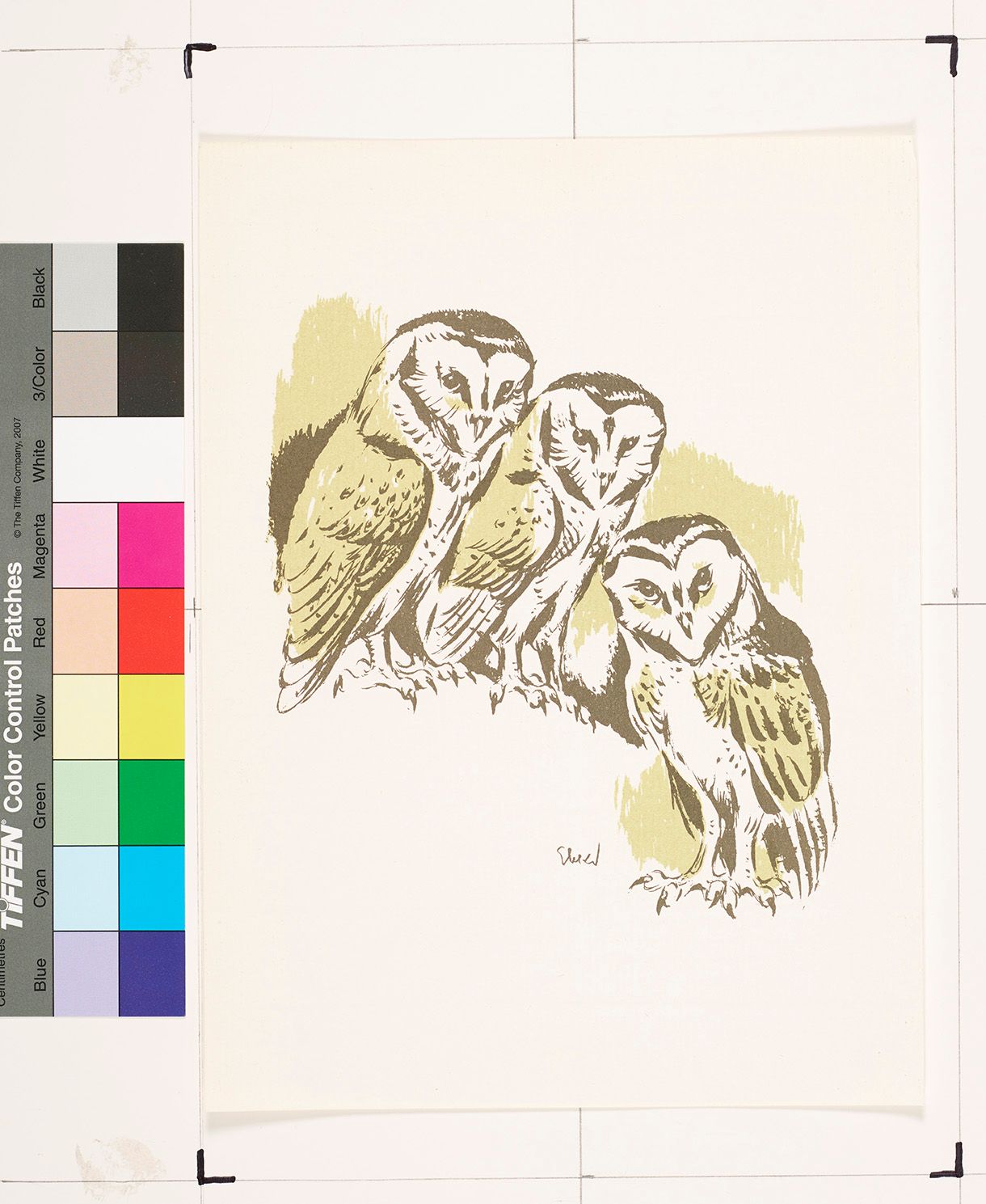 Skizze von drei Eulen auf Fleckenweise gelbem Untergrund. 