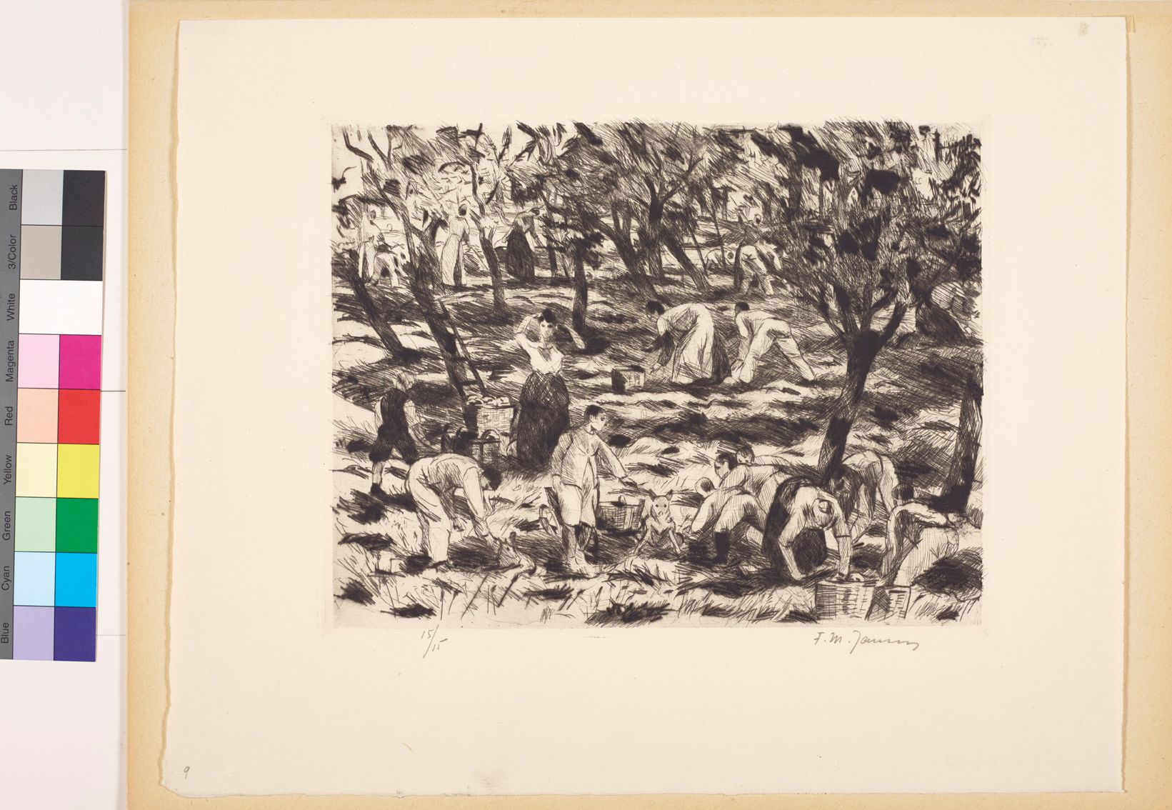 Zeichnung. Frauen und Männer im Wald. Sie sammeln Früchte vom Boden.