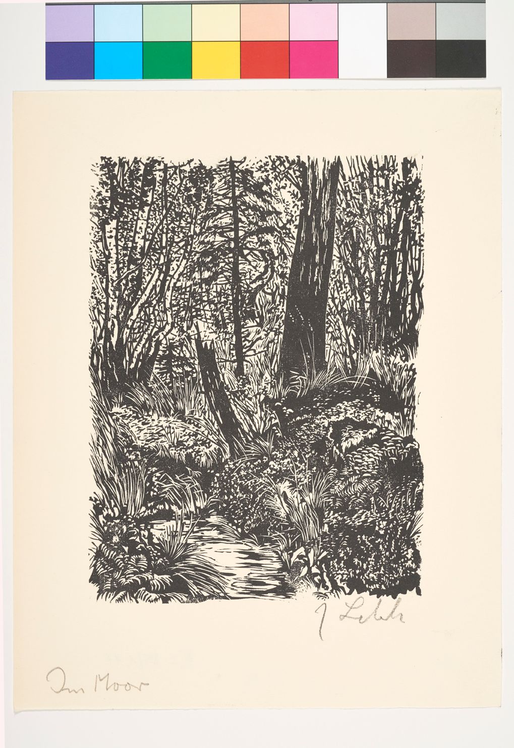 Blick auf ein Moor mit wild wucherndem Gras und Baumstümpfen.