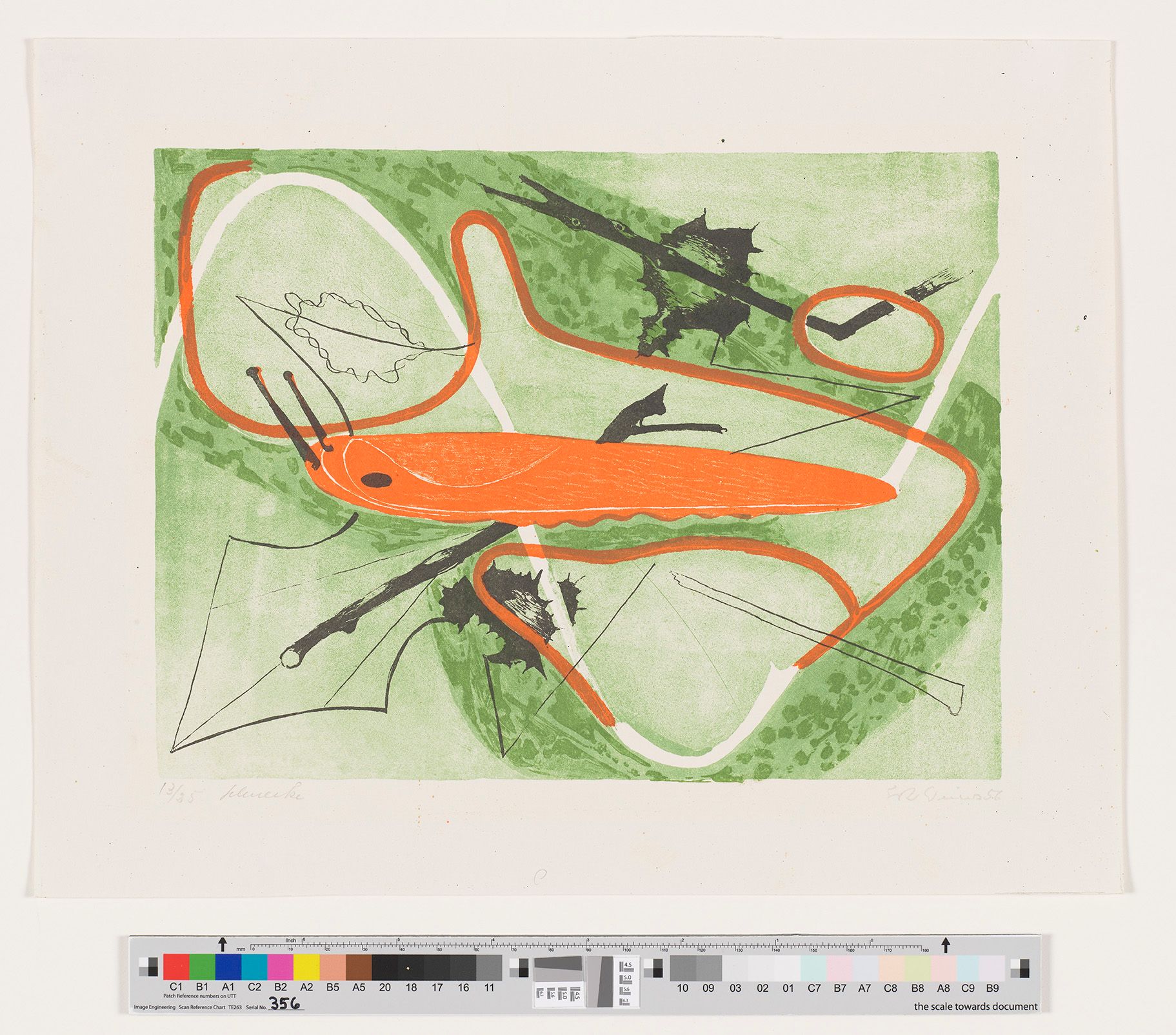 Eine orangene Nacktschnecke kriecht über ein Blatt das von einer orangenen und weißen Linie überzogen ist.