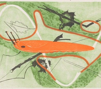 Eine orangene Nacktschnecke kriecht über ein Blatt das von einer orangenen und weißen Linie überzogen ist.