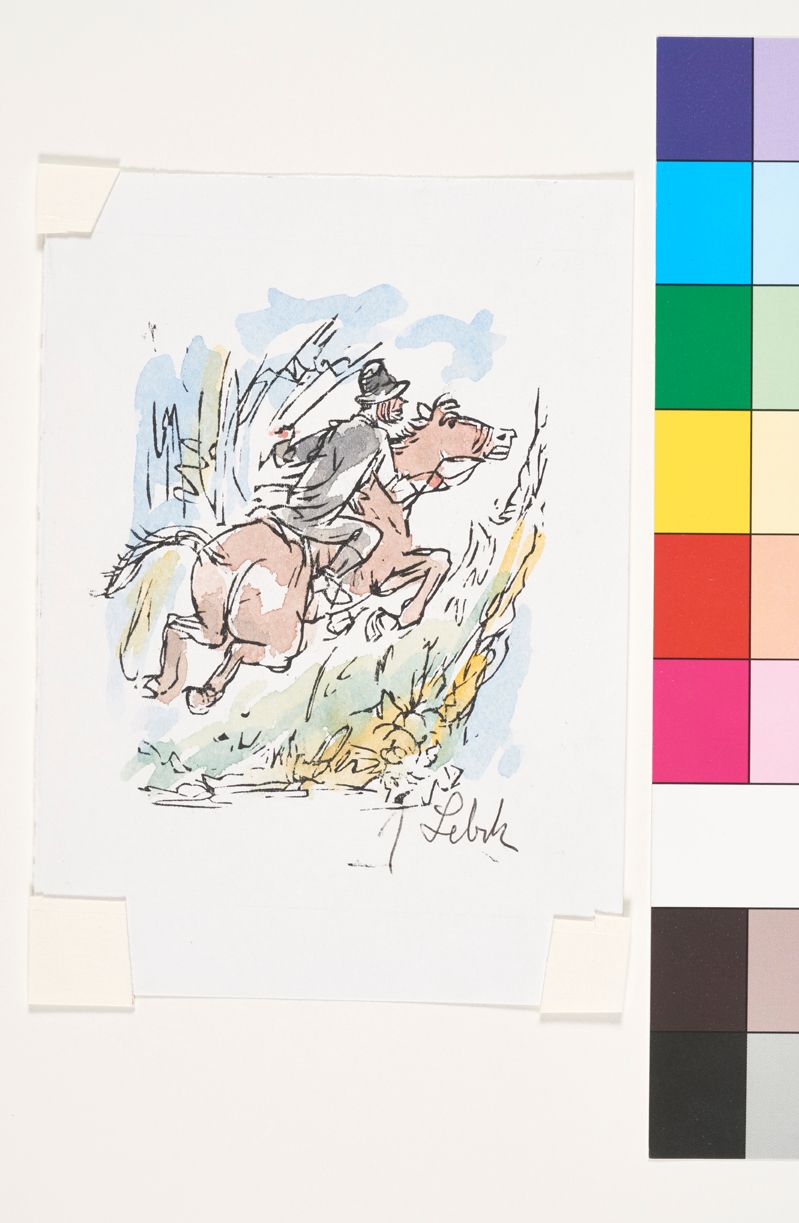 Ein Mann mit Hut reitet auf einem galoppierenden Pferd das zum Sprung über ein Hecke ansetzt.