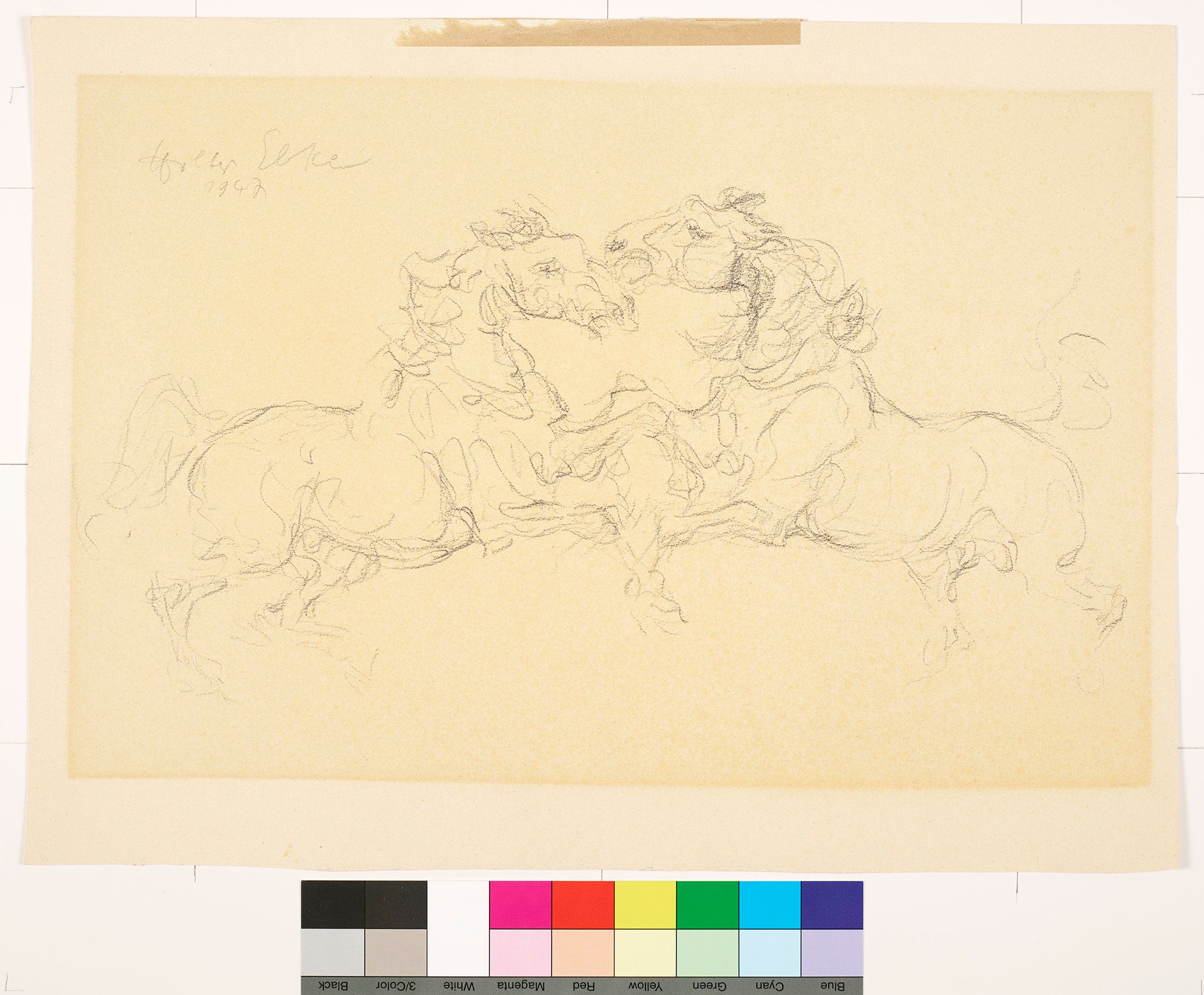 Skizze von zwei kämpfenden Pferden. 