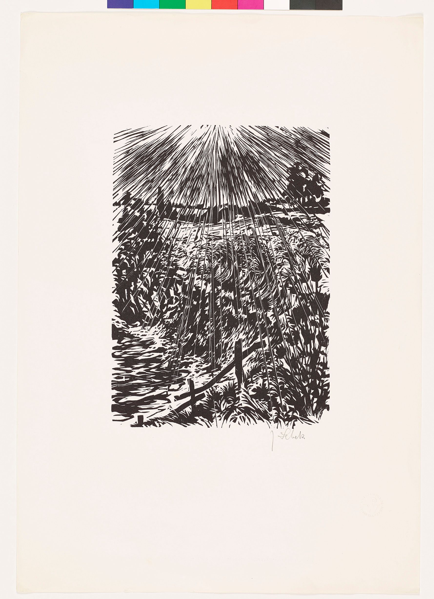 Blick auf eine Hecke mit einem Holzzaun und Feldern im Hintergrund. Die Strahlen der Sonne sind sehr ausgeprägt über das ganze Bild gezogen.