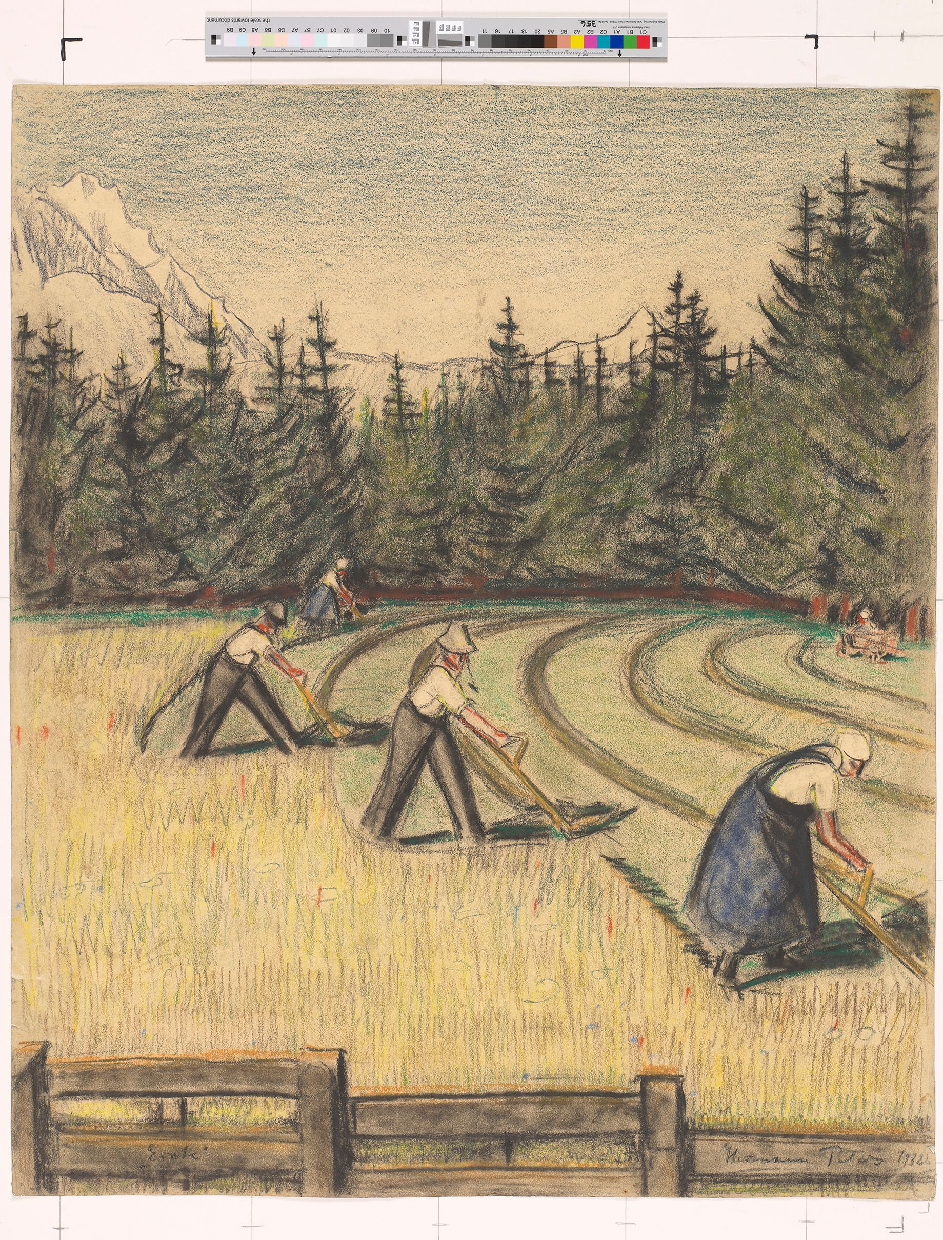 Feld mit Bergen im Hintergrund. Auf dem Feld sieht man 4 Personen, die am Ernten sind. Das Feld ist bewachsen mit Korn.