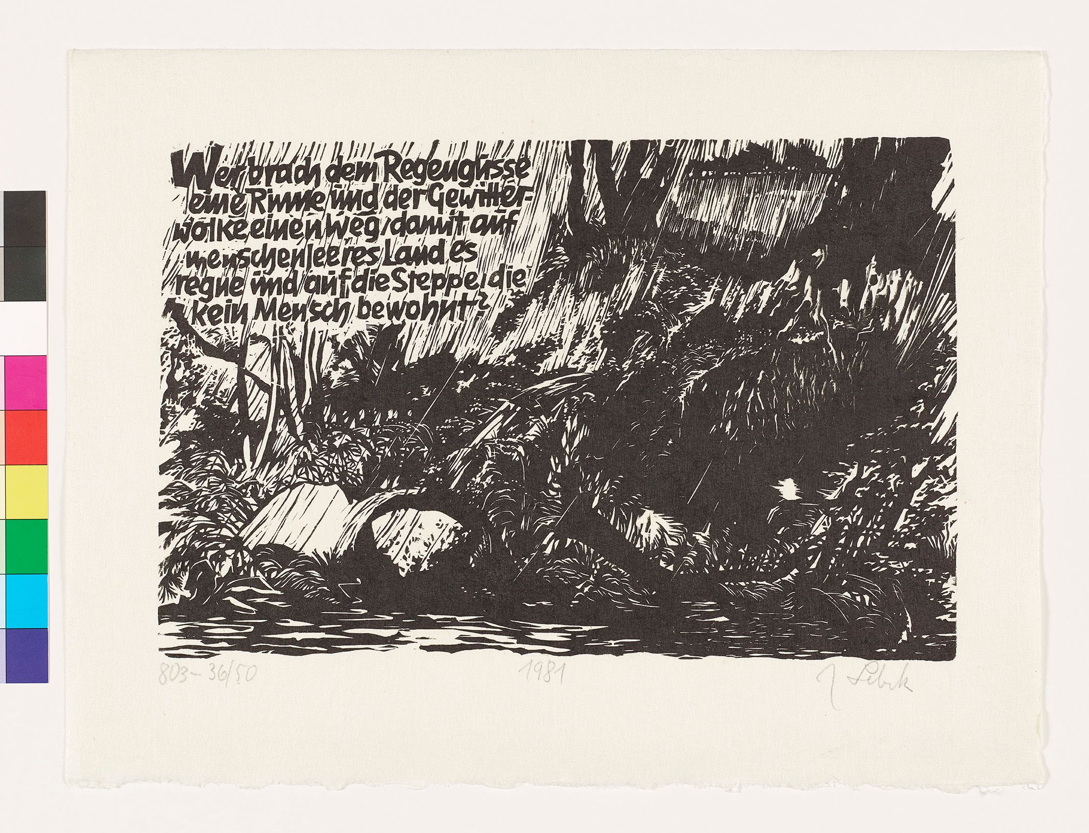 Blick auf einen dichten Wald auf den schräge Regentropfen fallen. Oben links steht: Wer brach dem Regenguss eine Rinne und der Gewitterwolke einen Weg, damit auf menschenleeres Land es regne und auf die Steppe, die kein Mensch bewohnt?