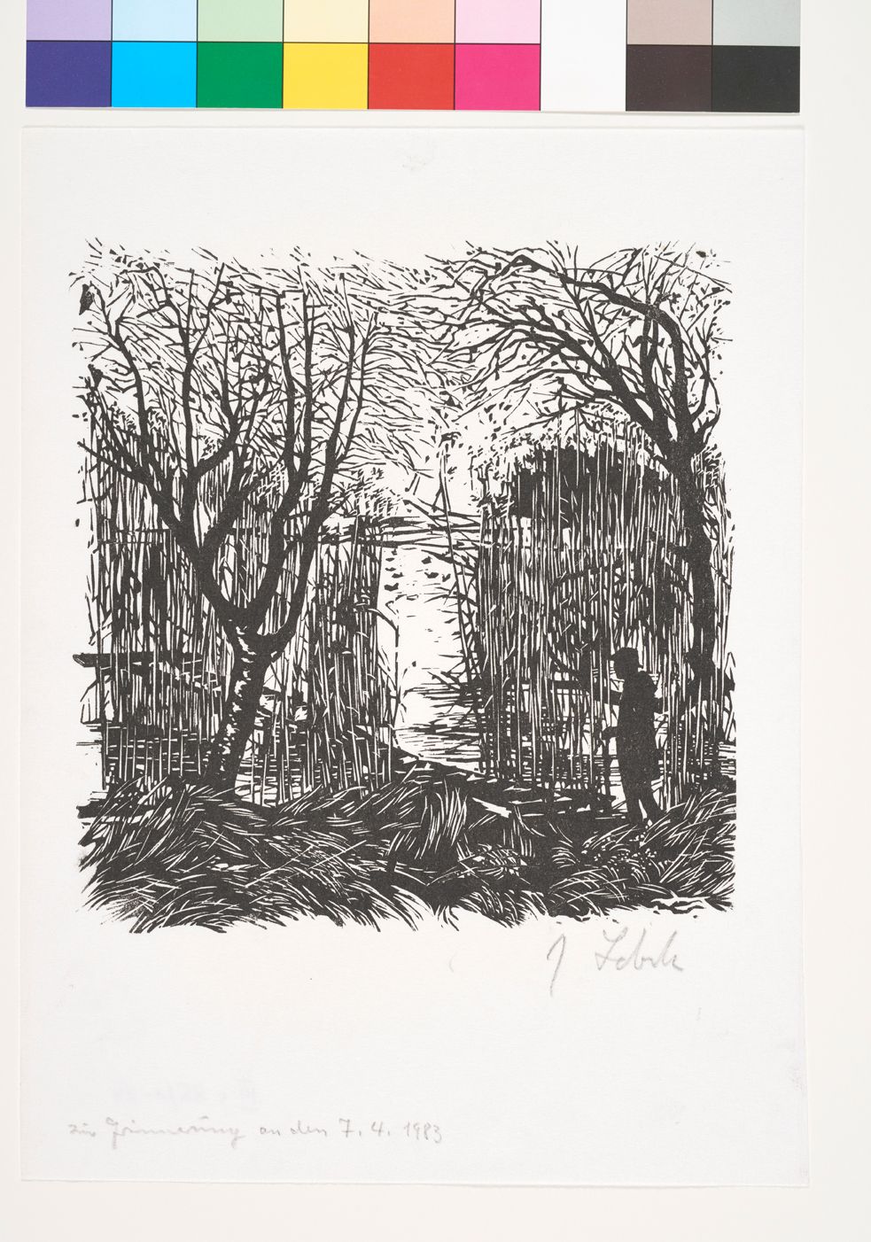 Blick auf einen See mit Steg durch hoch gewachsenes Schilf. Rechts ist die Silhouette eines Mannes zu erkennen.