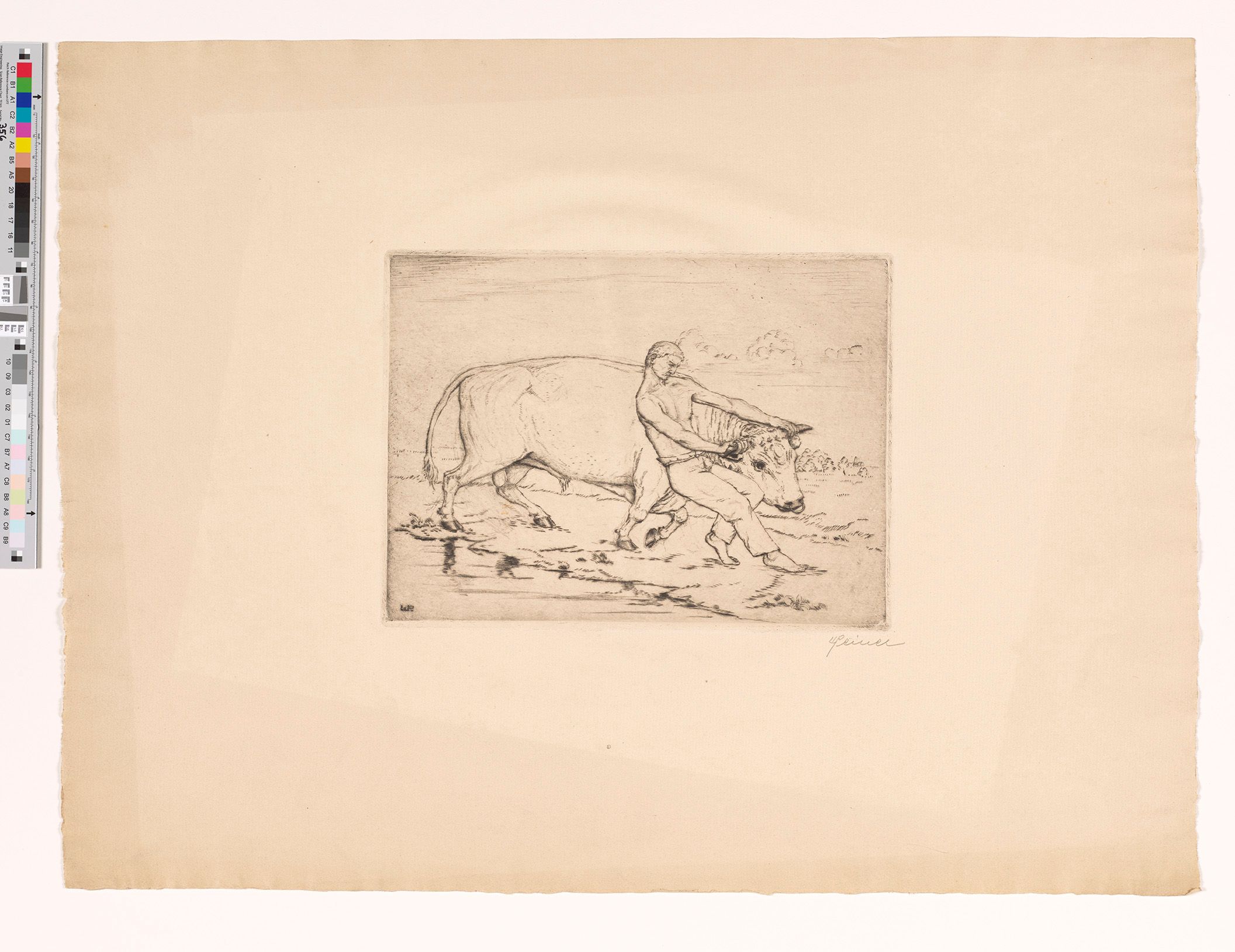 Ein Mann mit nacktem Oberkörper stemmt sich barfuß gegen den Boden und zieht an den Hörnern eines Stieres mit einem Nasenring in den Nüstern. 