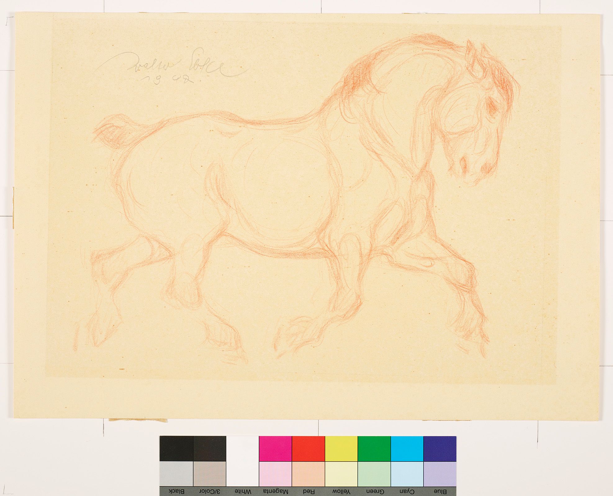 Skizze eines Pferdes in Bewegung. 