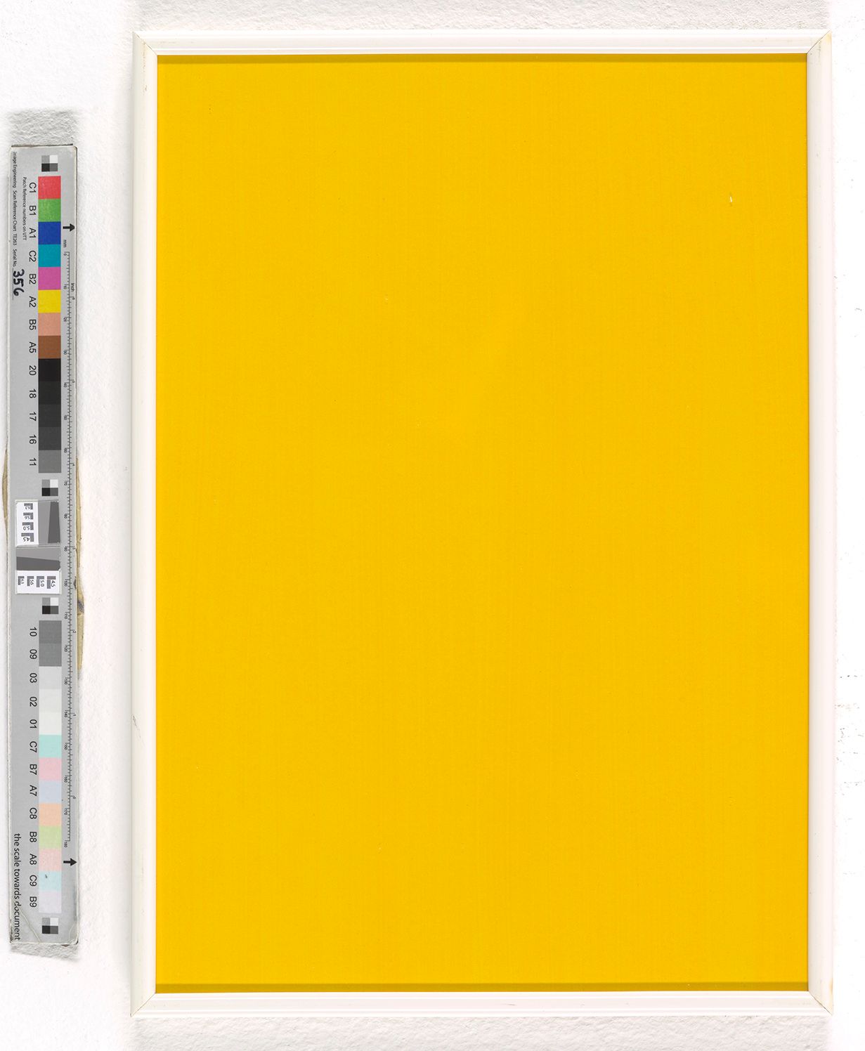 Ein Gemälde, welches komplett in einem kräftigen gelben Farbton gefärbt ist, mit einem schmalen weißen Rahmen