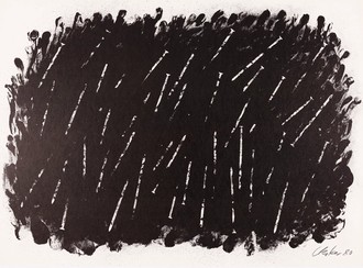 Ein rechteckig abgerundetes schwarzes Feld mit ausgefransten Rändern ist mit unregelmäßig angeordneten weißen Strichen überzogen.