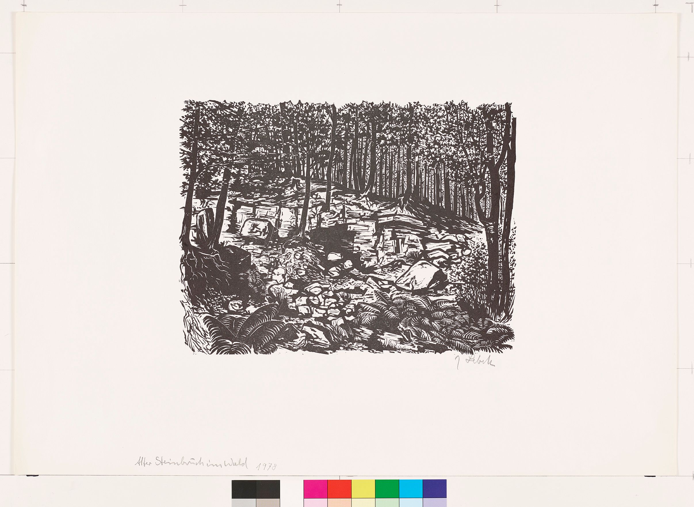 Blick auf einen verlassenen Steinbruch im Wald.