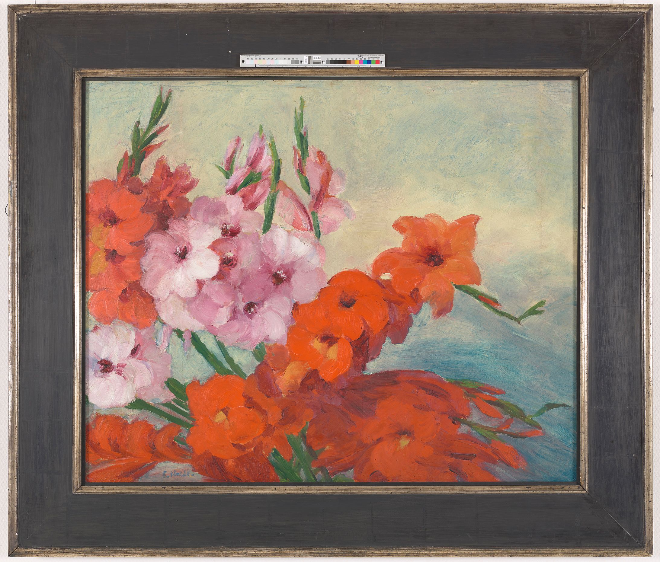 Ein naturalistisches Stillleben mit Gladiolen in Rot und Rosa.