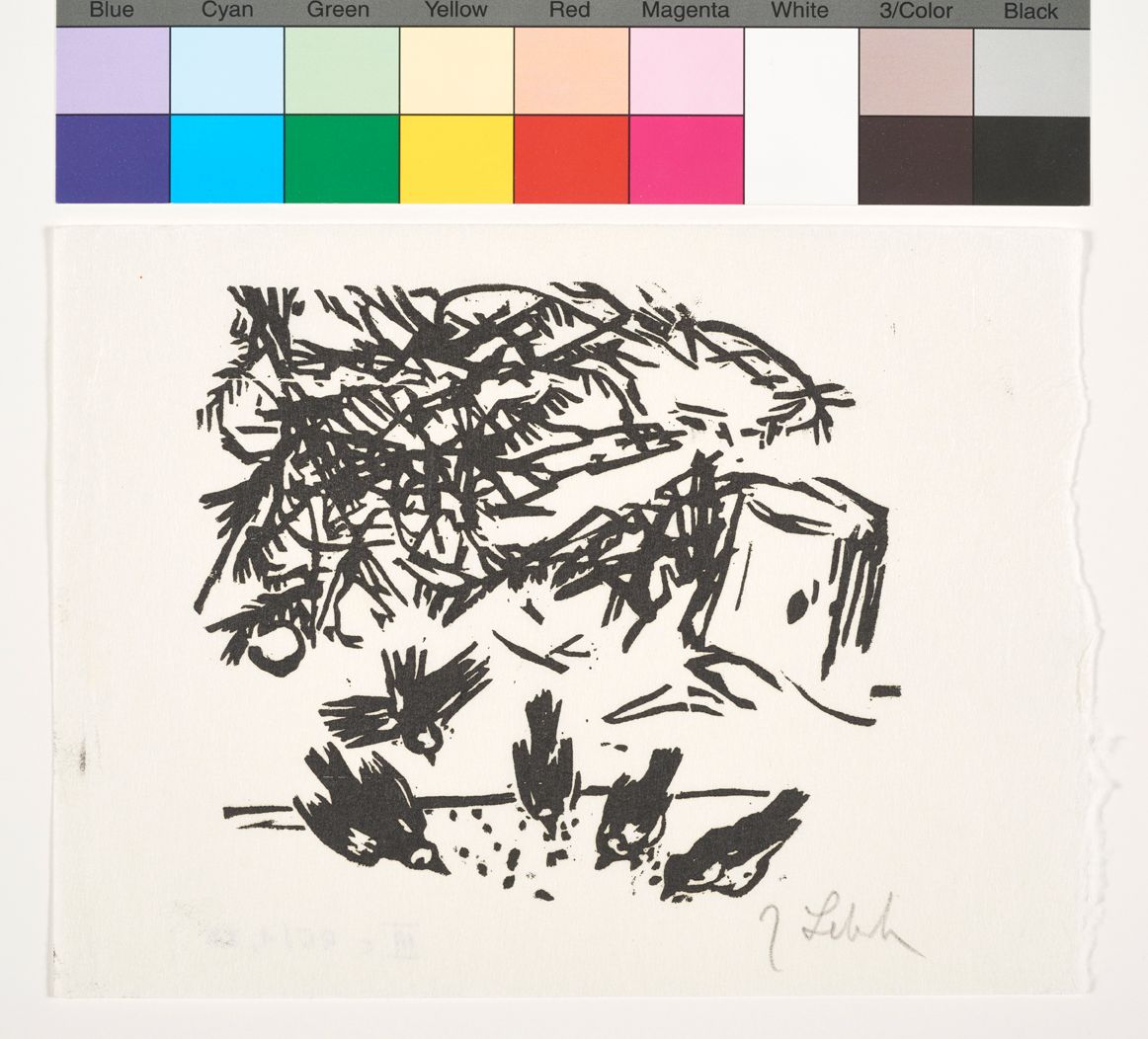 Unter den Zweigen einer Tanne picken vier Vögel Krumen auf, ein Fünfter kommt angeflogen.