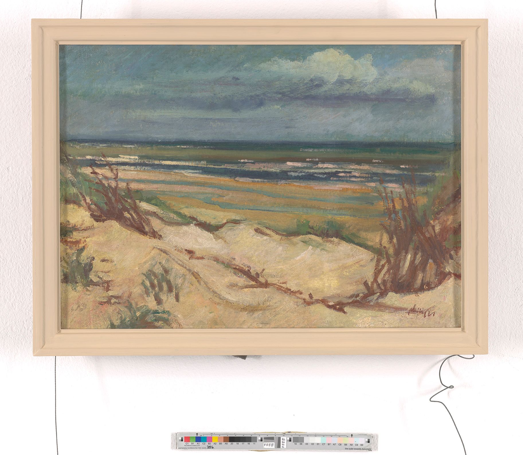 Blick auf eine Dünenlandschaft mit vereinzelten braunen Sträuchern, grünlichem Strand und regenschweren Wolken.