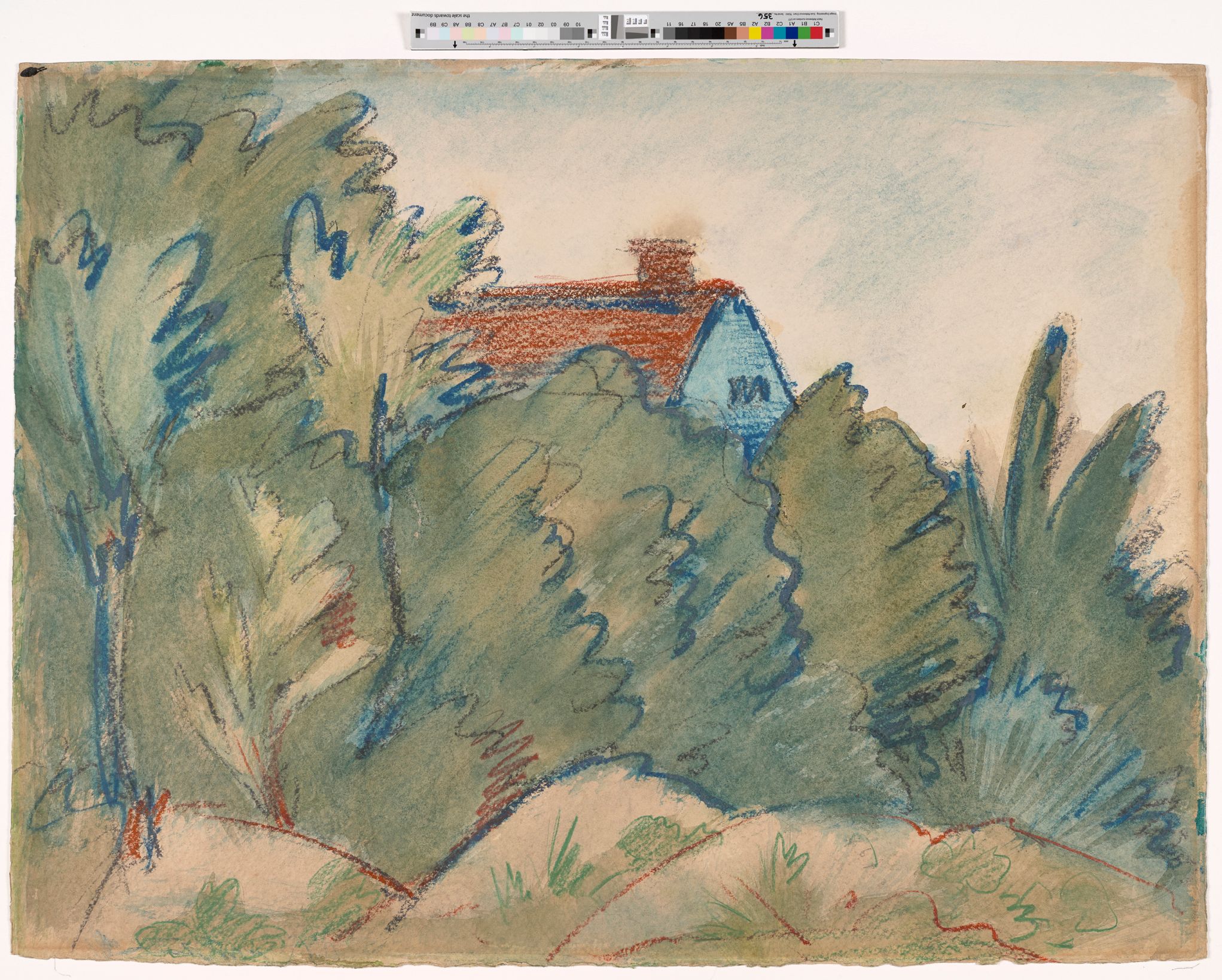 Hinter den Zweigen eines hoch wuchernden Gestrüpps ragt das rote Dach eines Hauses hervor.