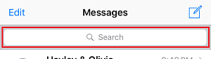 Screenshot showing the search bar within the Messages app outlined in a red box
