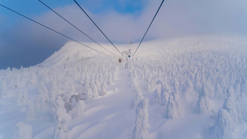 Riding above the snow monsters at Zao Onsen