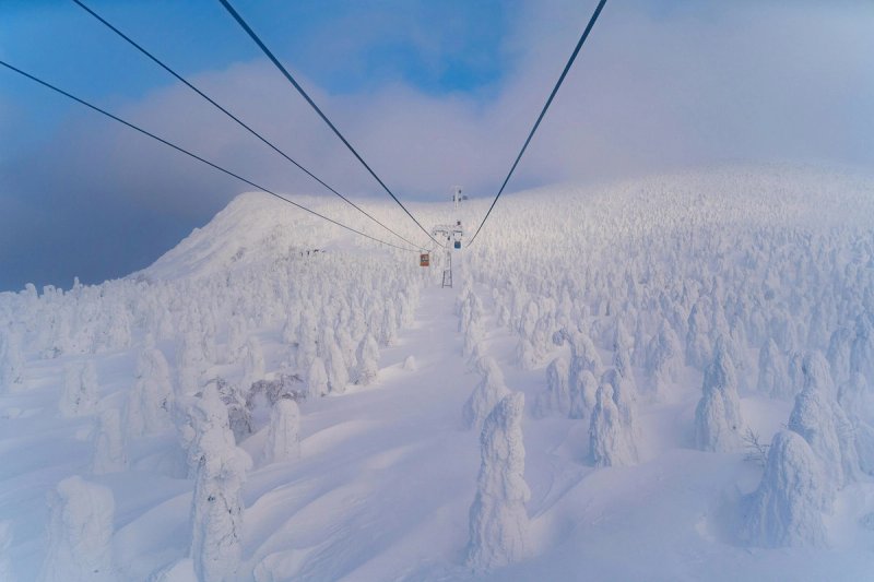 Riding above the snow monsters at Zao Onsen