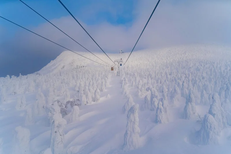 Riding above the snow monsters at Zao Onsen