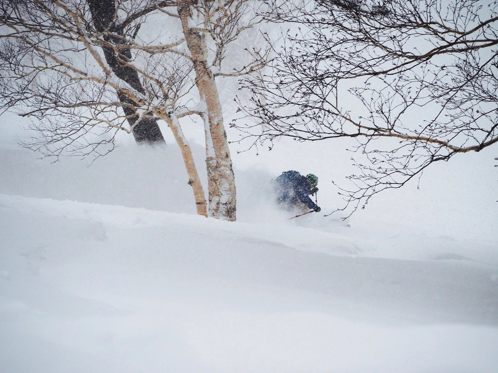 Skier in the depths of japow, sidecountry in Akita