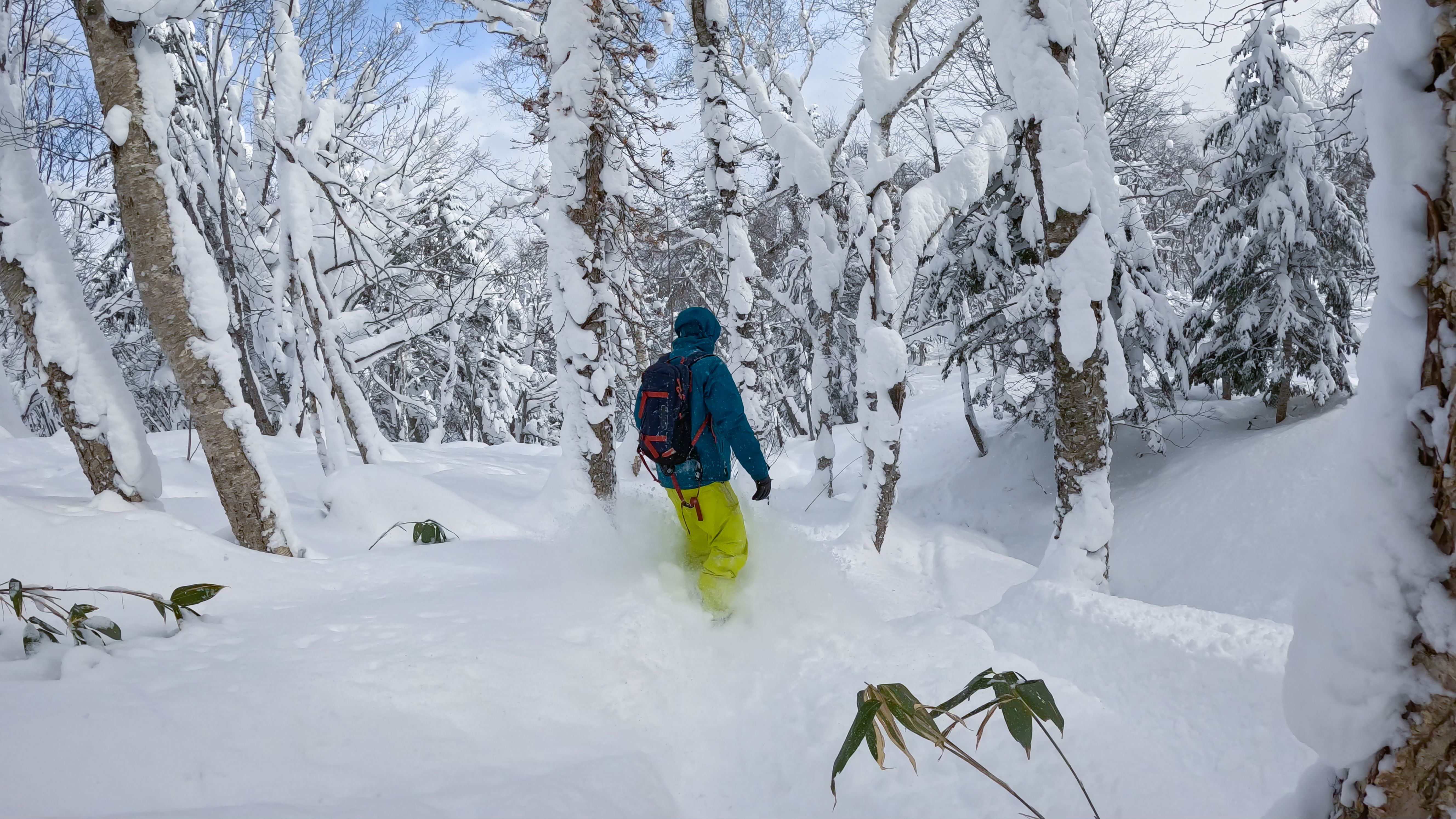 Snowboarder from the USA in the backcountry Japan