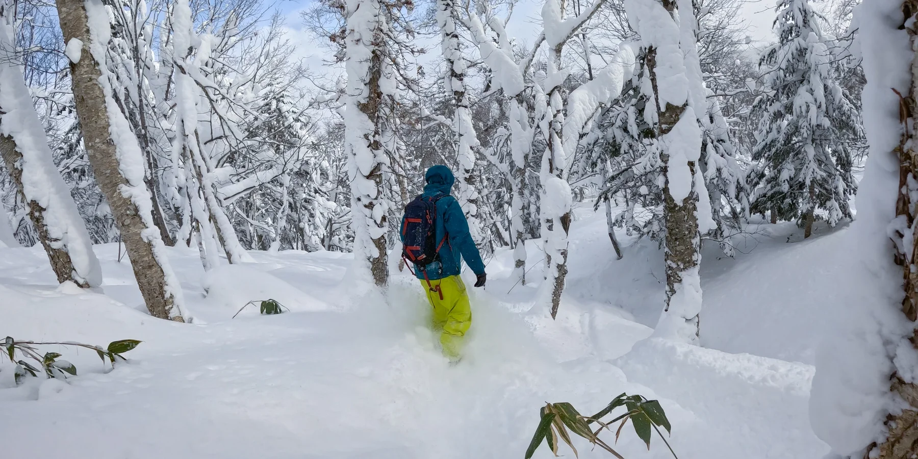 Snowboarder from the USA in the backcountry Japan