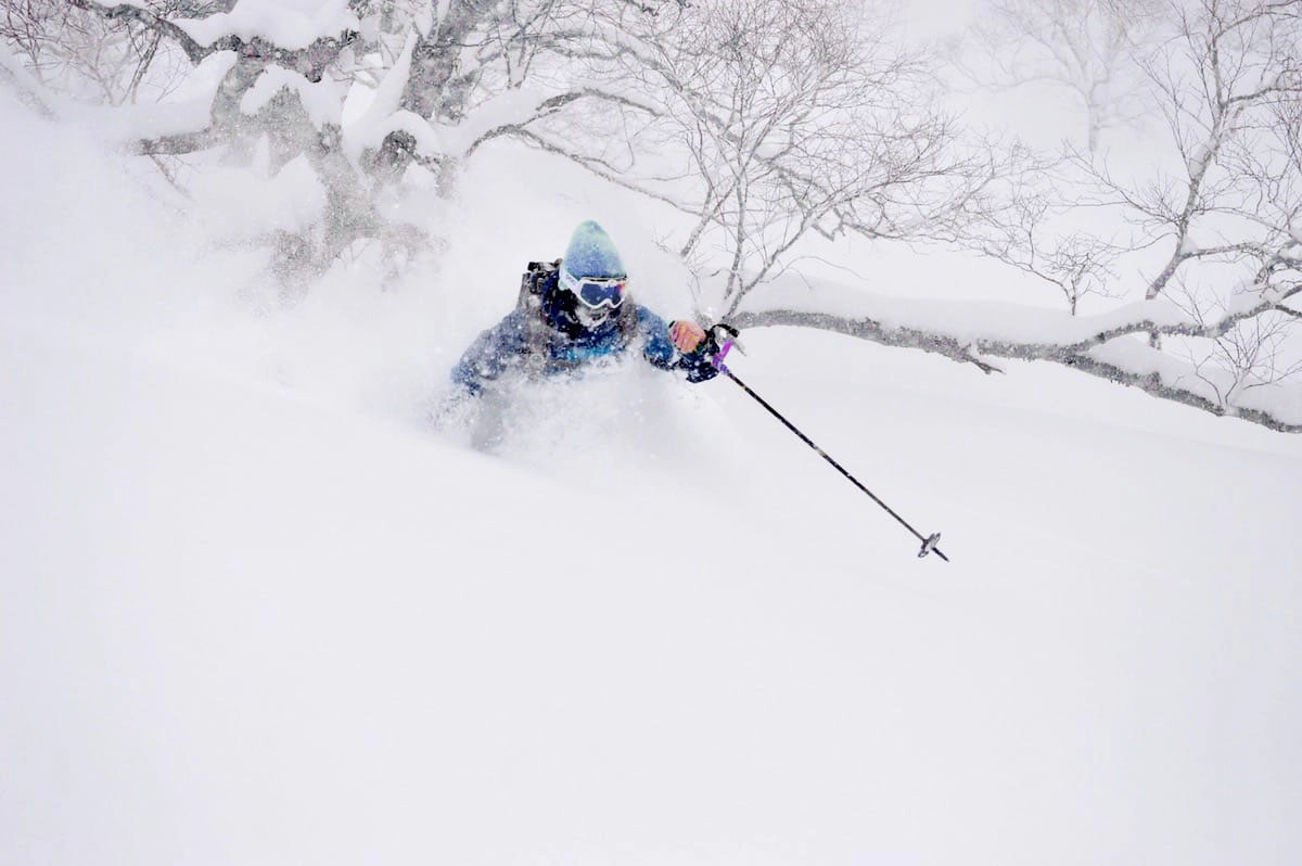 waste-deep pow in Gunma japow
