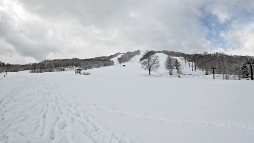 Kamoidake