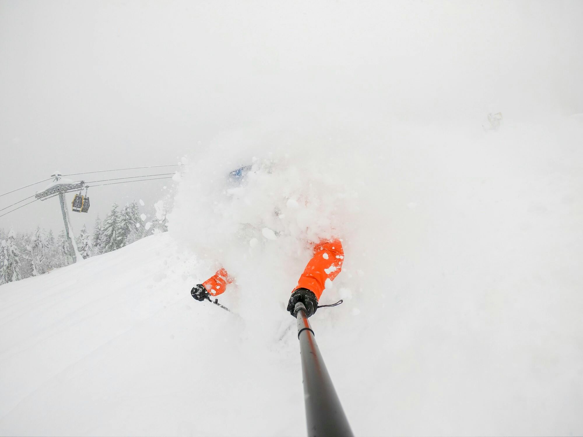 covered in Hokkaido powder