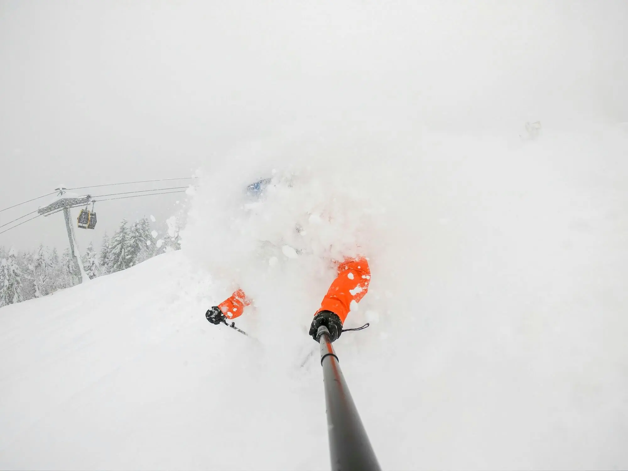 Face show powder skiing
