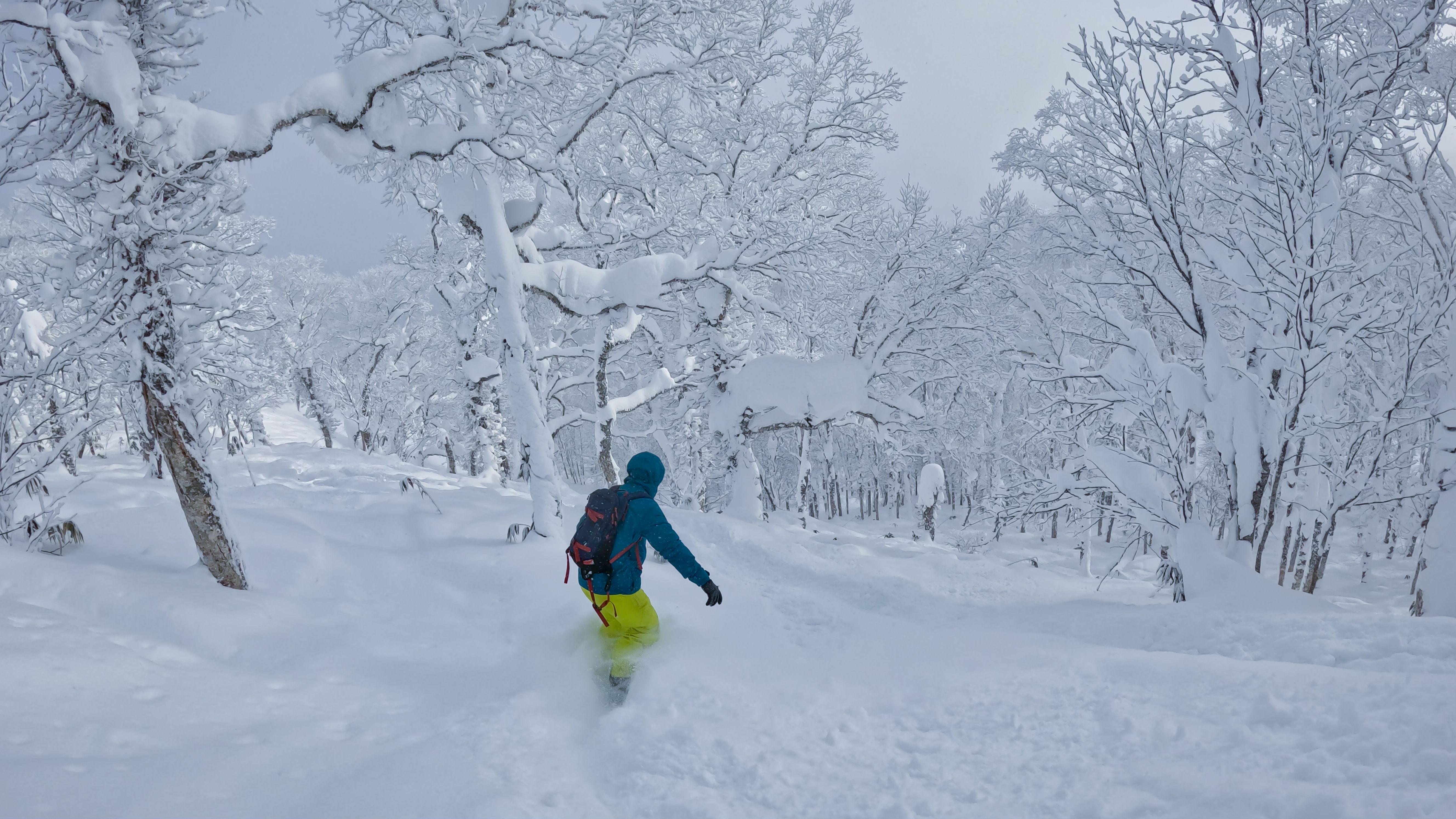 Snowboarder taking on some backcountry trees in Japan
