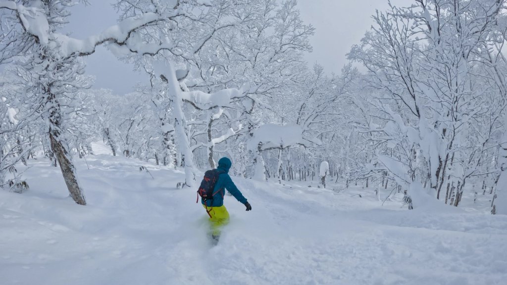 Snowboarder taking on some backcountry trees in Japan