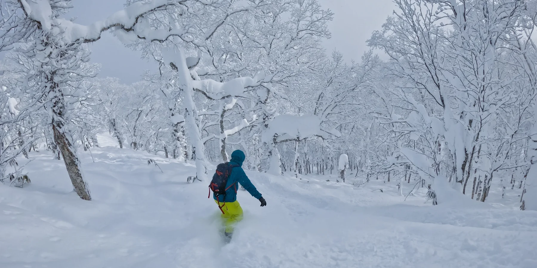 Snowboarder taking on some backcountry trees in Japan