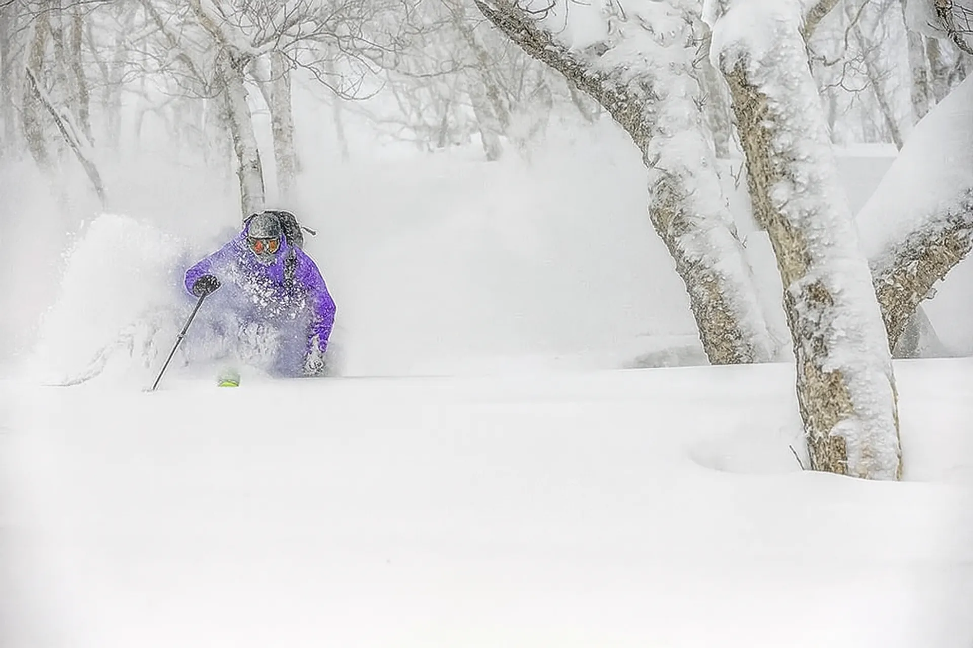 Tree runs at Kiroro - no better place to enjoy some Japow