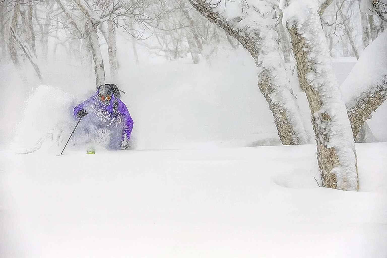 Tree runs at Kiroro - no better place to enjoy some Japow
