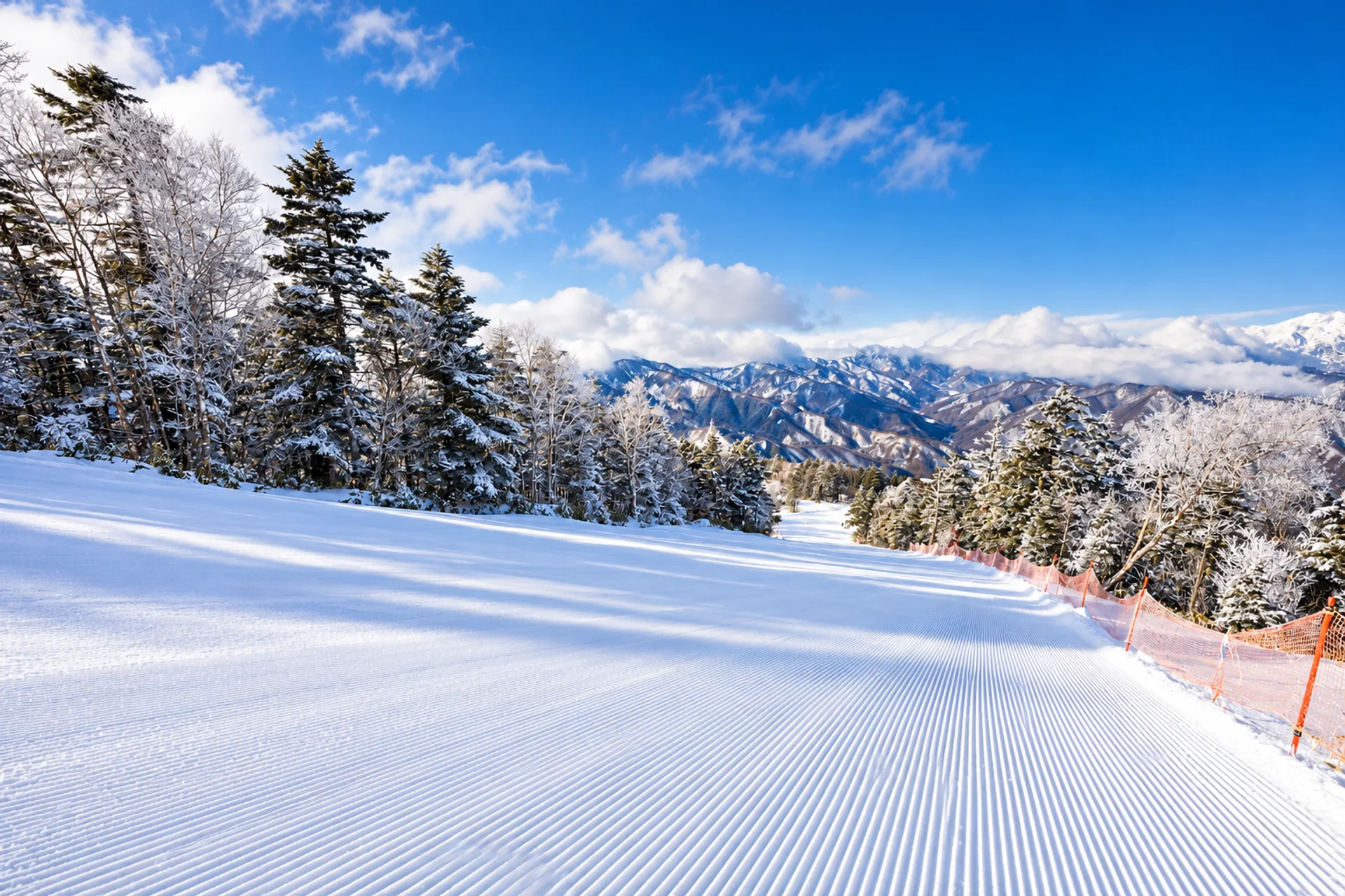 Nomugi Toge groomed run 