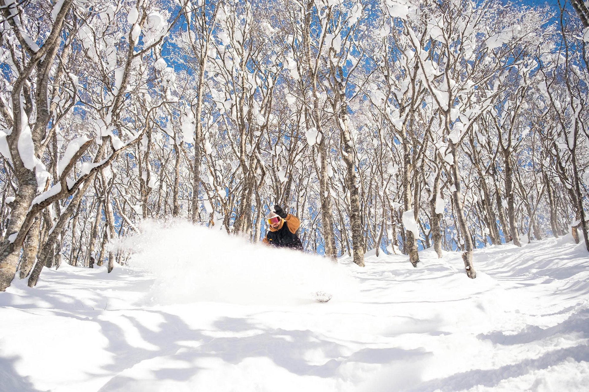 snowboarder bombing down backcountry in Akita