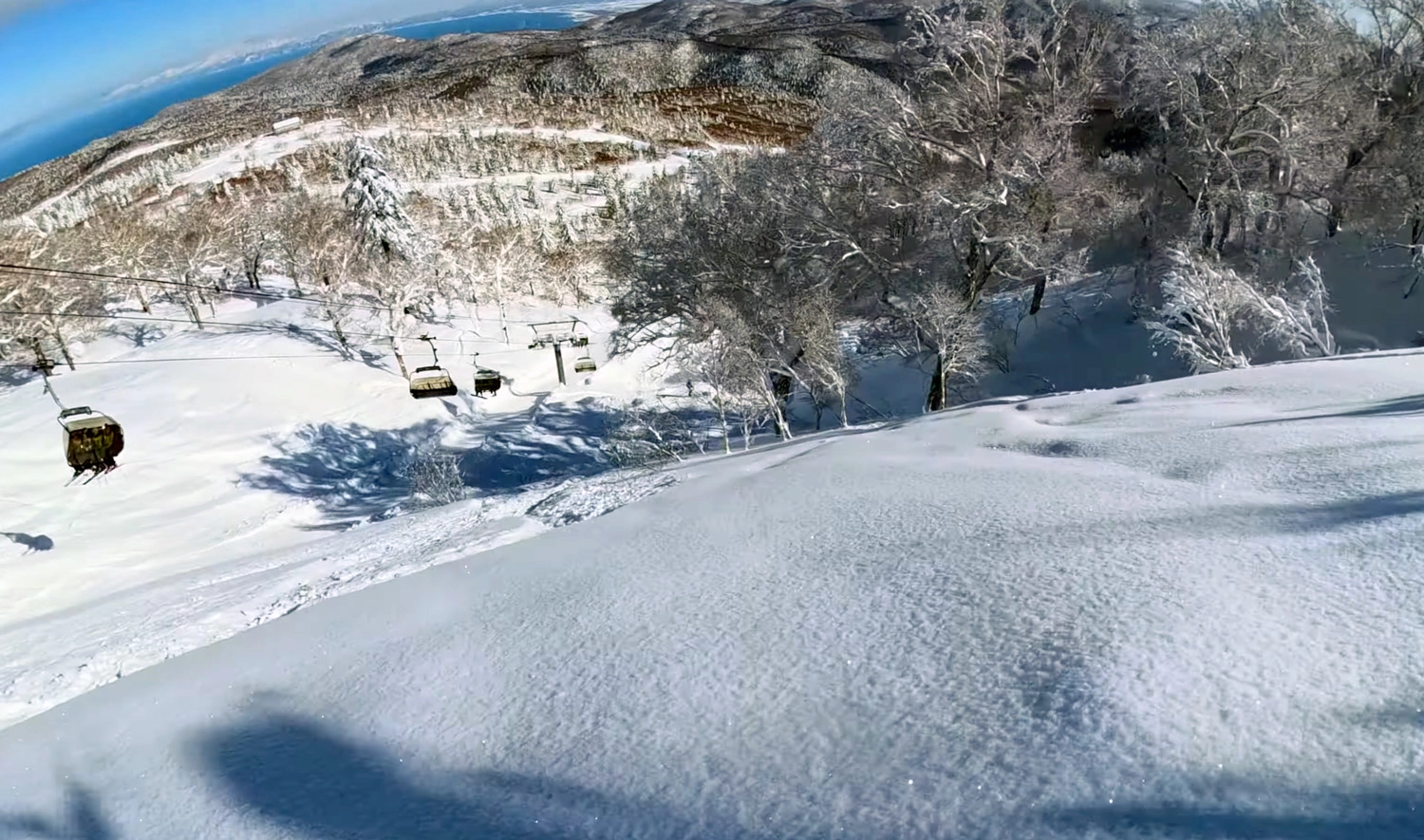 Side country in Kokusai, fresh tracks to be had