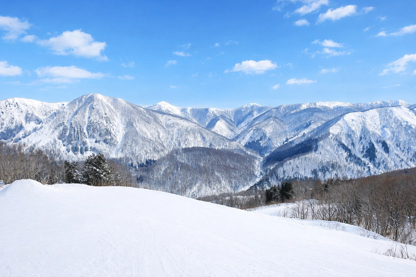 View from Jangle Jungle (Kurobushi Kogen Snow Park)