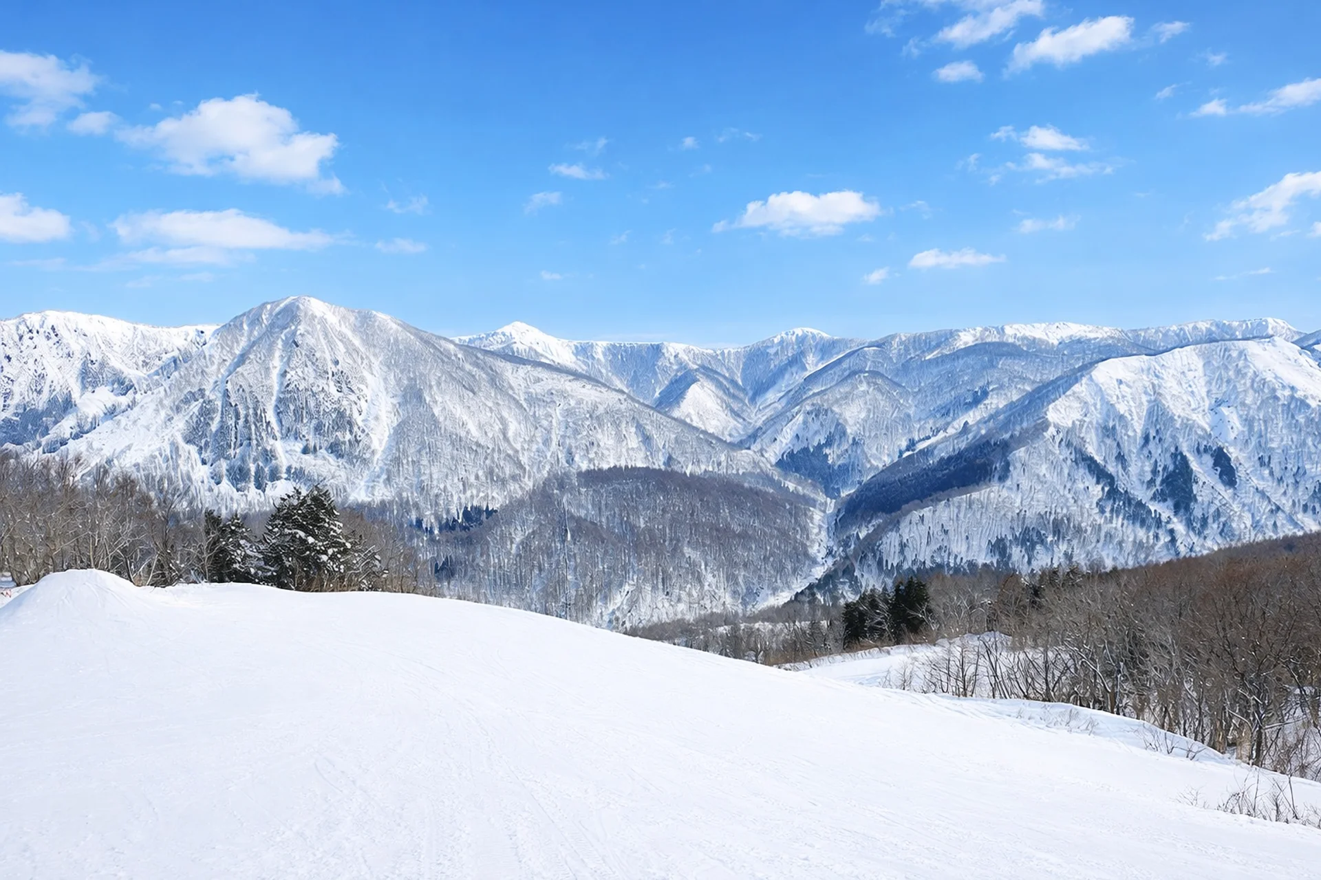 View from Jangle Jungle (Kurobushi Kogen Snow Park)