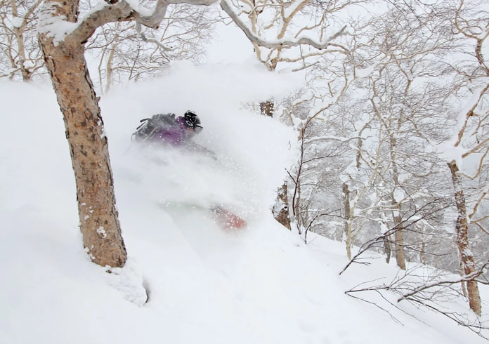 Japow accumulates quickly in the trees at Asahidake