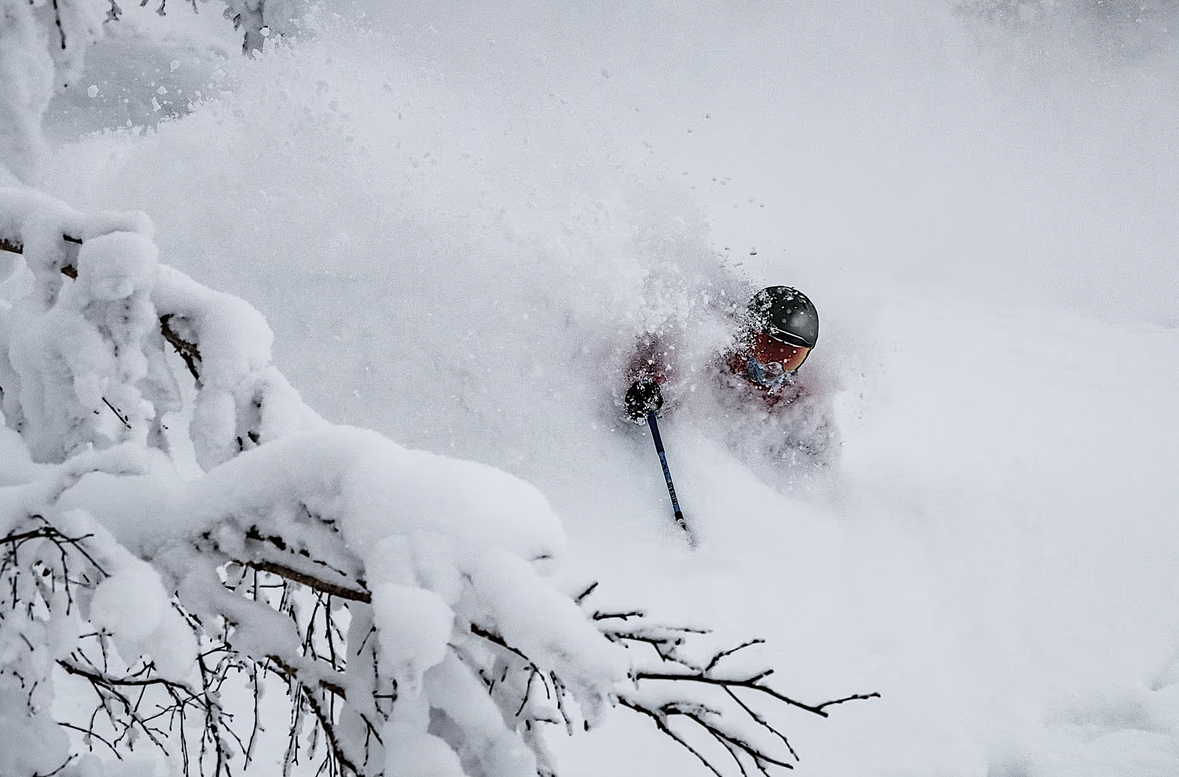 whiteroom japow style